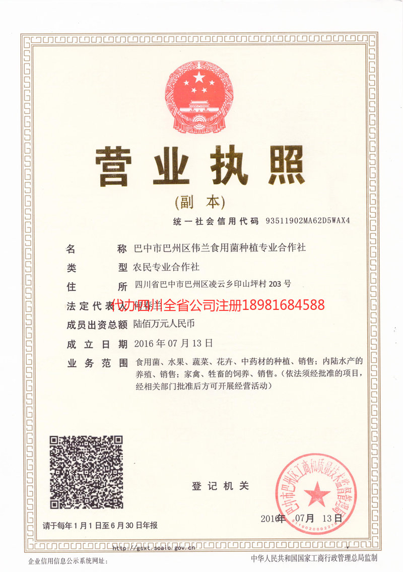 恩阳恩阳伟兰食用菌种植专业合作社